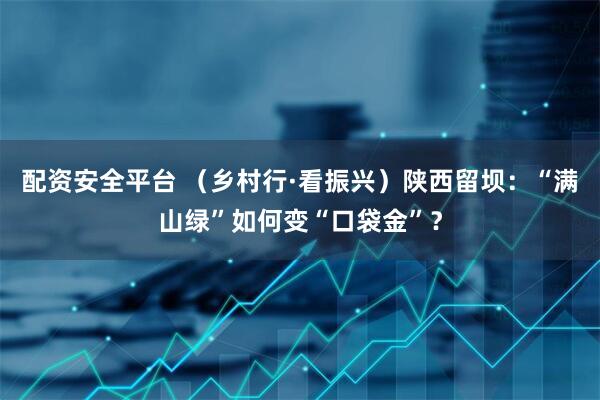 配资安全平台 （乡村行·看振兴）陕西留坝：“满山绿”如何变“口袋金”？